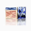 BUTTERFLY BLUSH